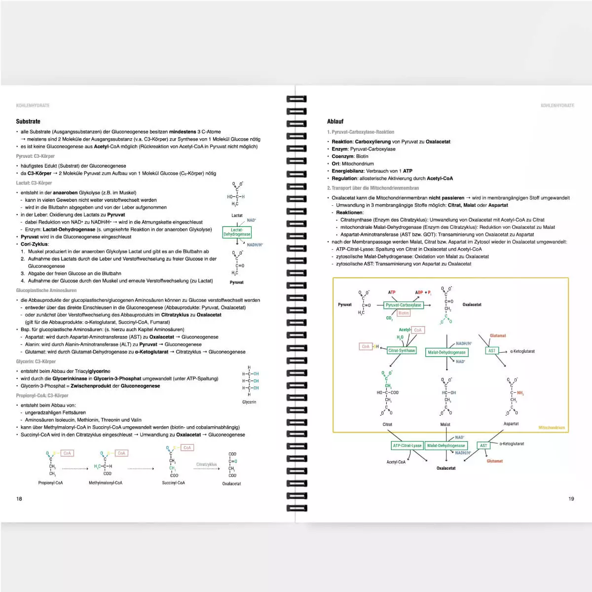  Biochemie Lernskript