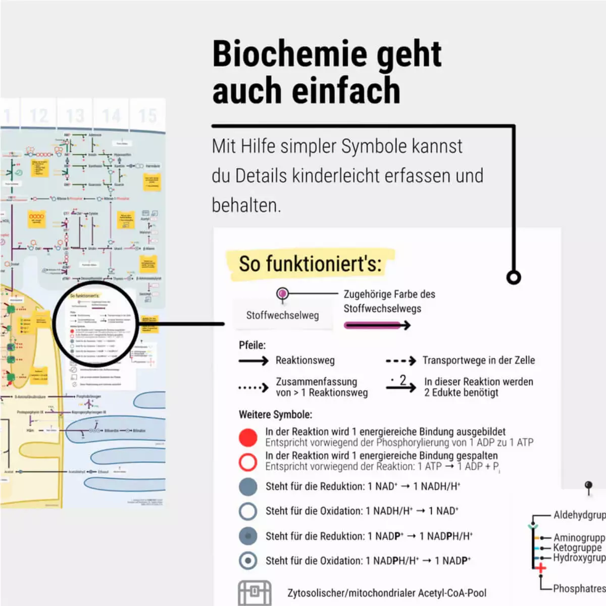  Das Keine-Panik-Plakat