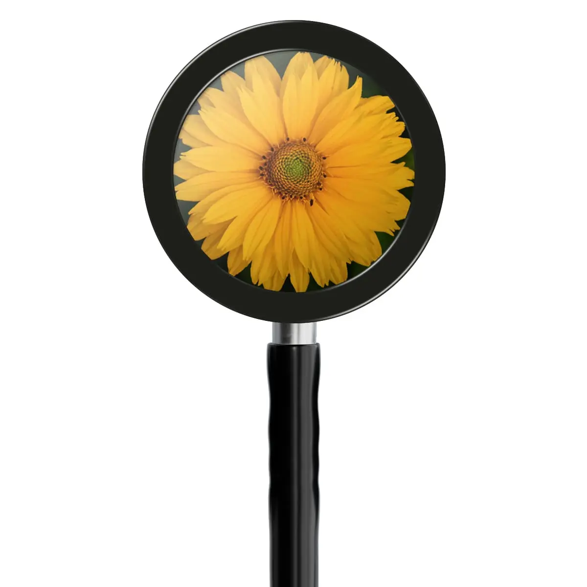Bedruckte Fiberglas-Membransets "Drums" Bedruckte Fiberglas-Membransets "Drums"