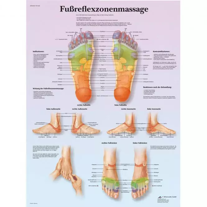 Lehrtafel – Fußreflexzonenmassage
