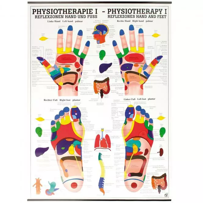  Lehrtafel – Reflexzonen Hand und Fuß