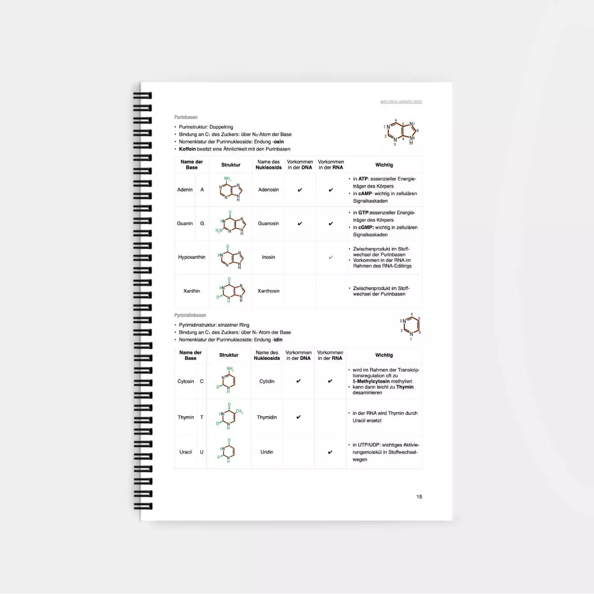  Biochemie Lernskript