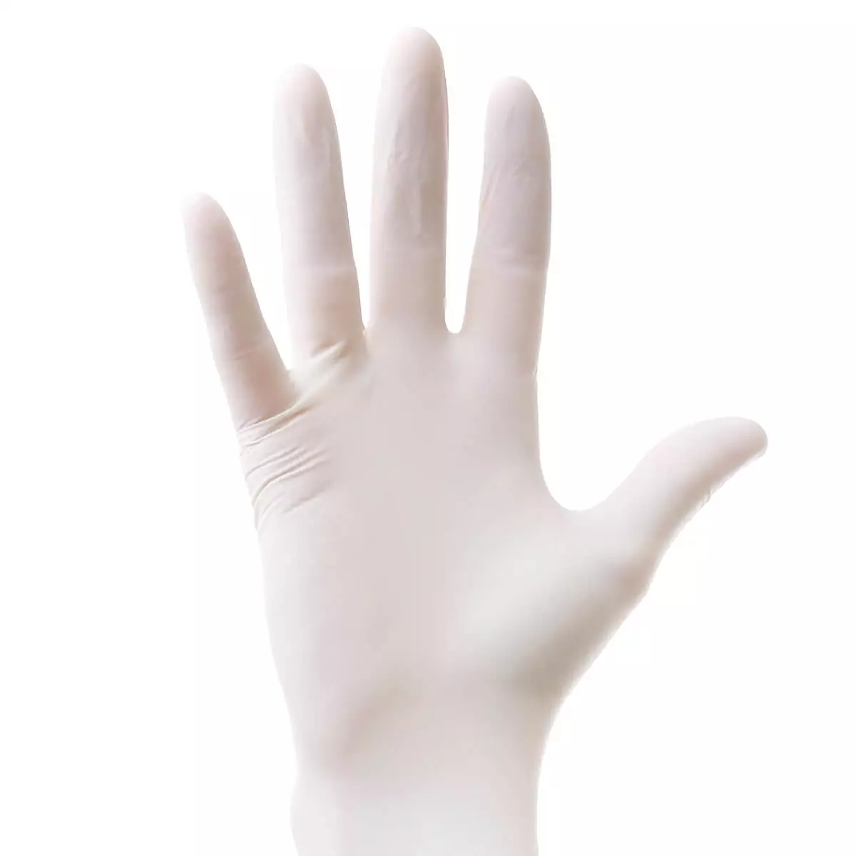  Handschuhe "Greif nitril"