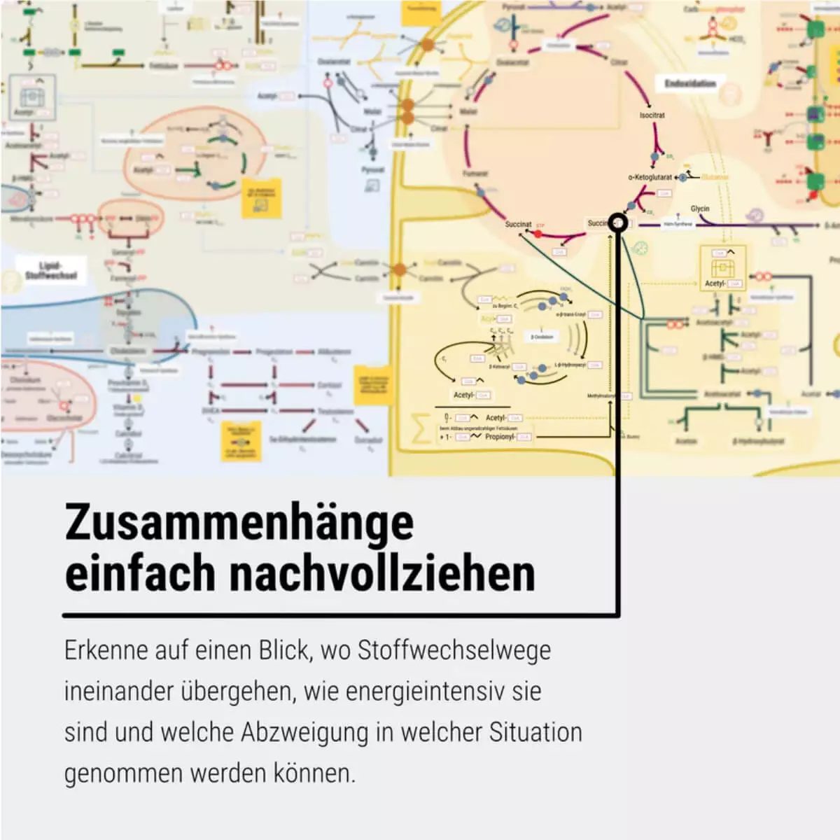  Das Keine-Panik-Plakat