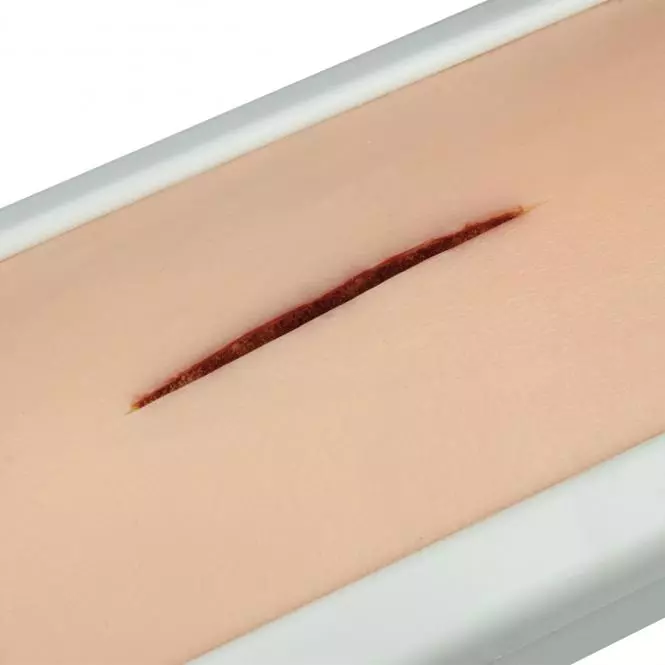  Hautnaht-Trainer als Pad