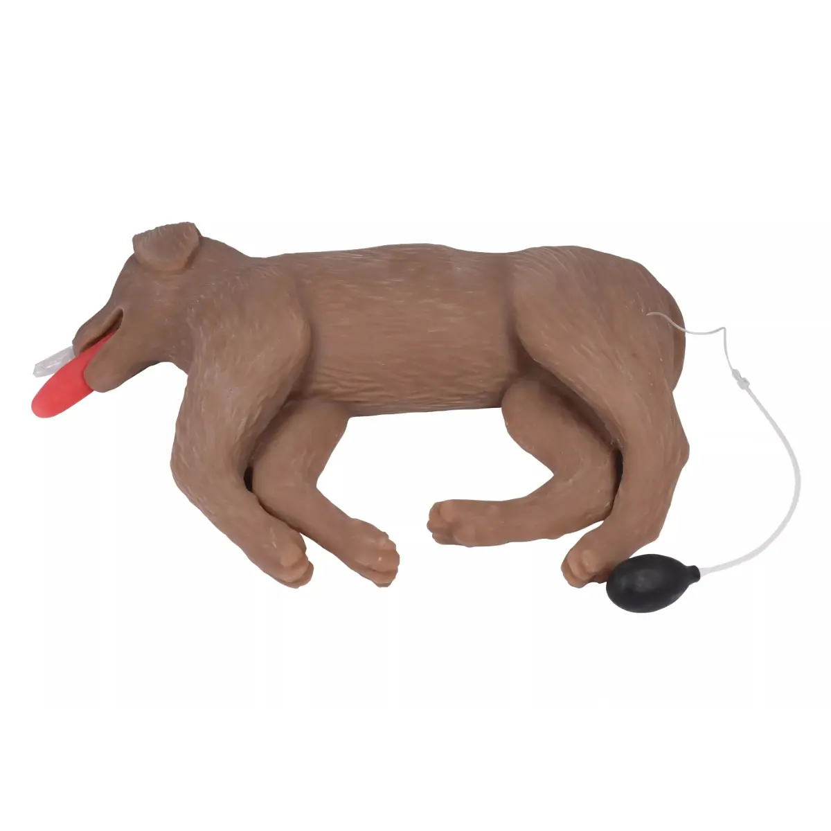 HLW-Übungspuppe Hund „CooPeR“ HLW-Übungspuppe Hund „CooPeR“